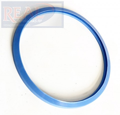 Cód 000662 Anel gnatus - dabi auto clave 12 litros ext 250 x int 220 x alt 12 mm